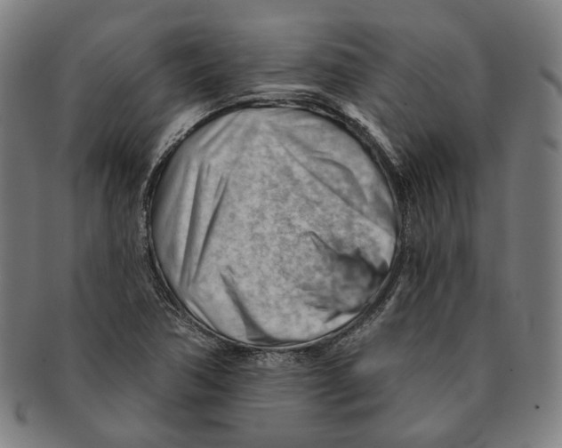 X0000090971362200708301216