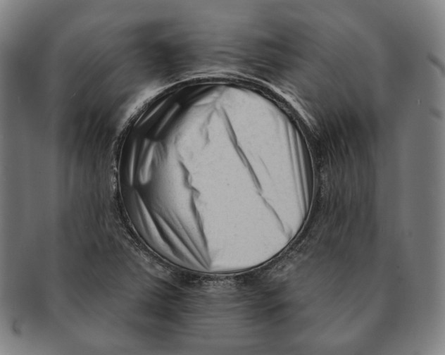 X0000090971363200708301216