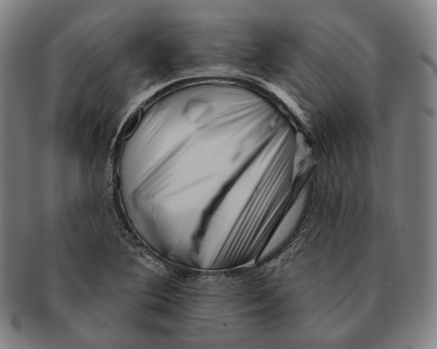 X0000090971364200708301216