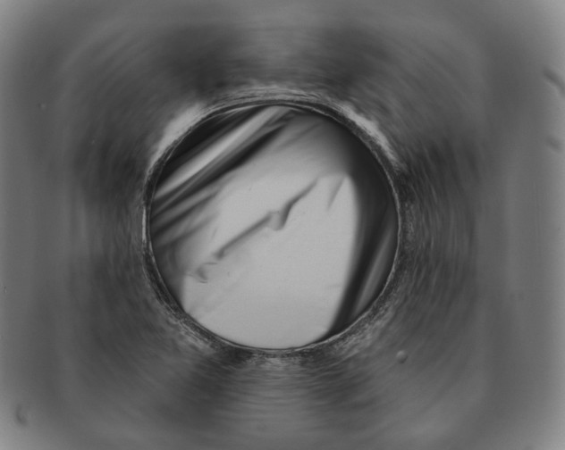 X0000090971365200708301216