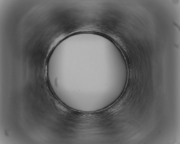 X0000090971366200708301216