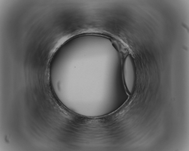 X0000090971367200708301216