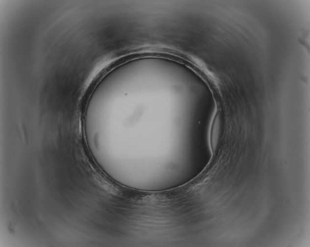 X0000090971368200708301216