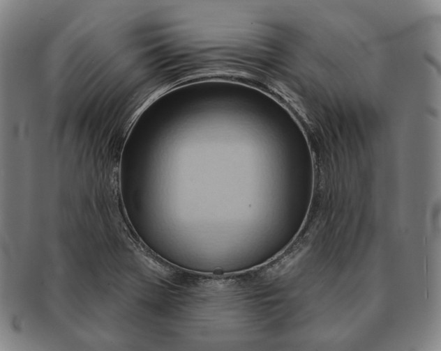 X0000090971369200708301216