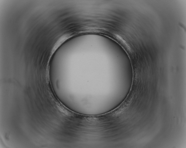 X0000090971370200708301216