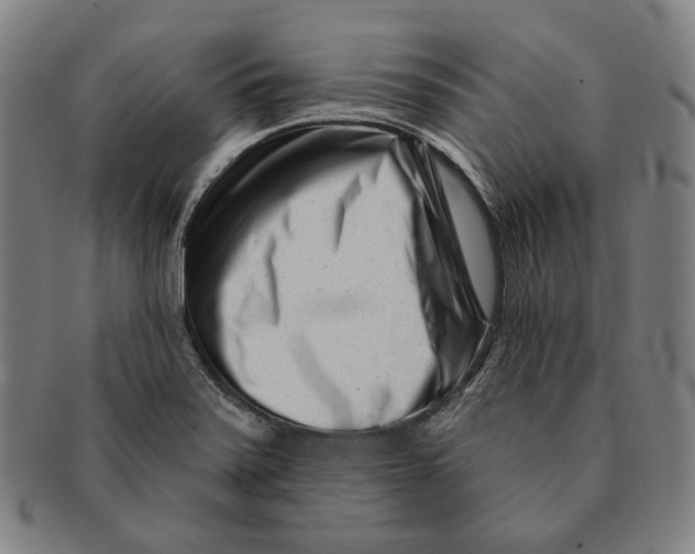 X0000090971371200708301216