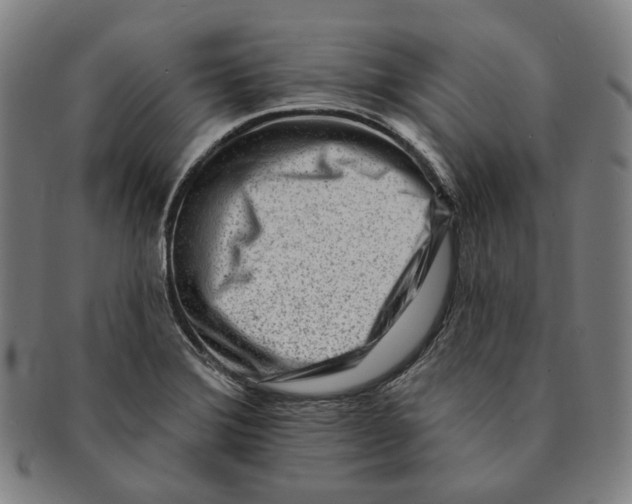 X0000090971372200708301216