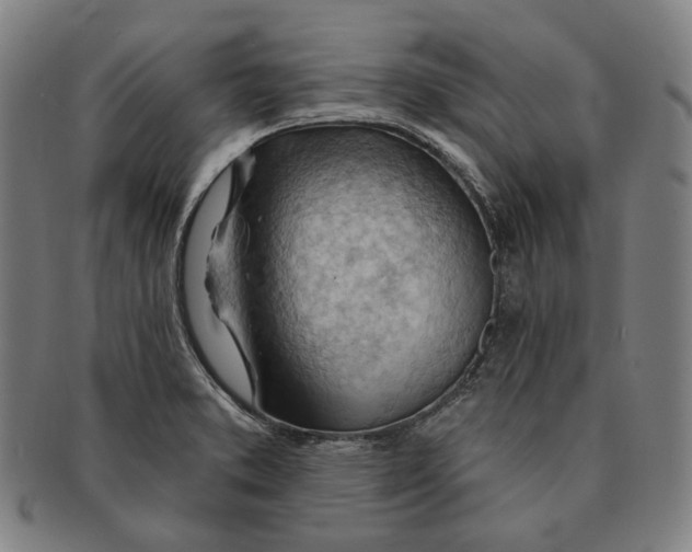 X0000090971373200708301216