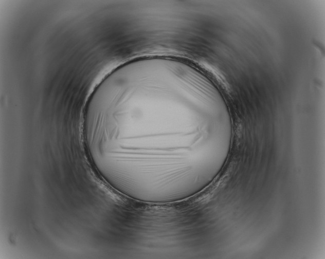 X0000090971374200708301216