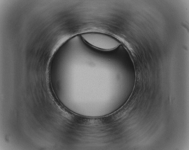 X0000090971375200708301216