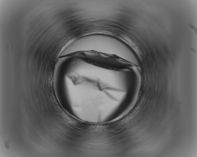 X0000090971377200708301216