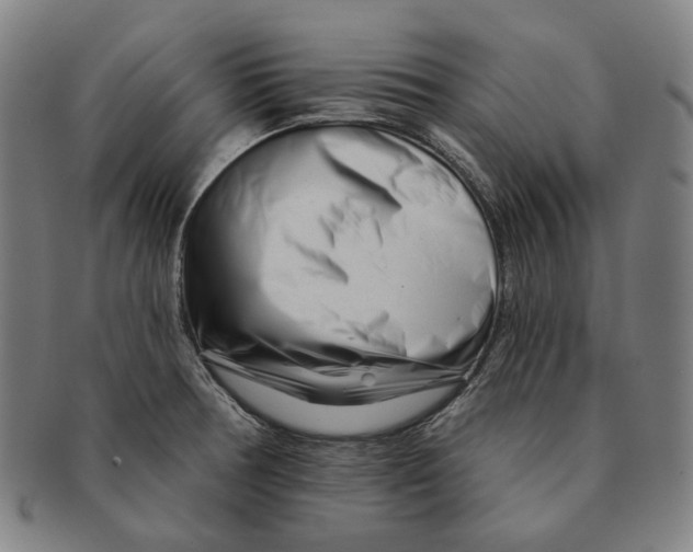 X0000090971378200708301216