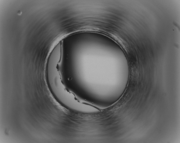 X0000090971379200708301216