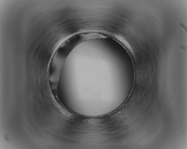 X0000090971380200708301216