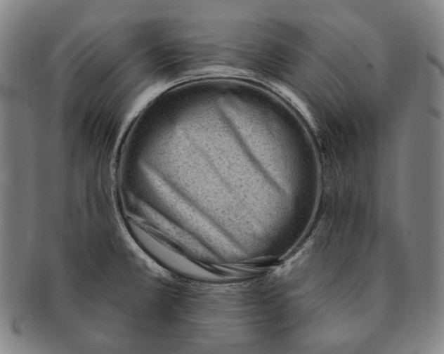 X0000090971381200708301216