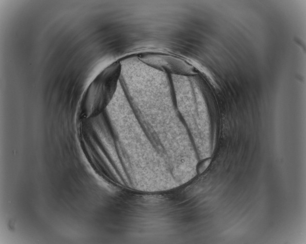 X0000090971383200708301216