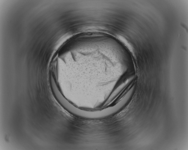 X0000090971384200708301216