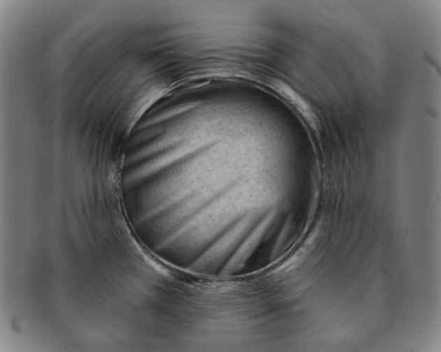 X0000090971385200708301216