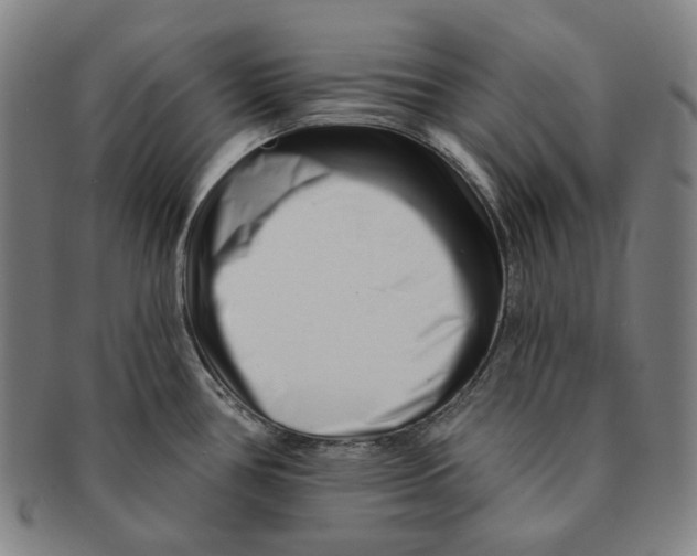 X0000090971386200708301216