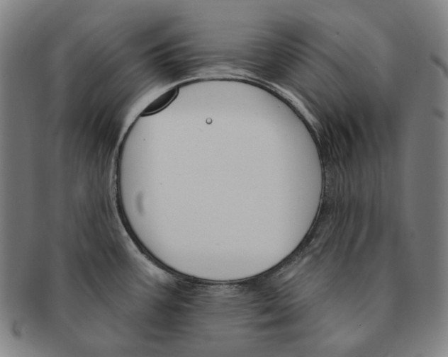 X0000090971387200708301216