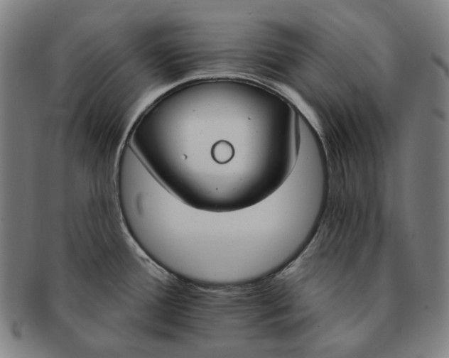 X0000090971388200708301216