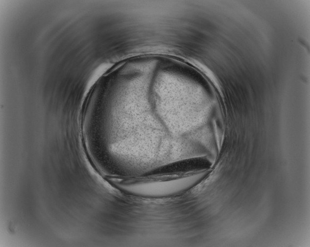 X0000090971389200708301216