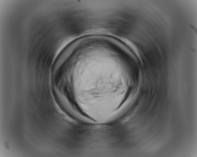 X0000090971390200708301216