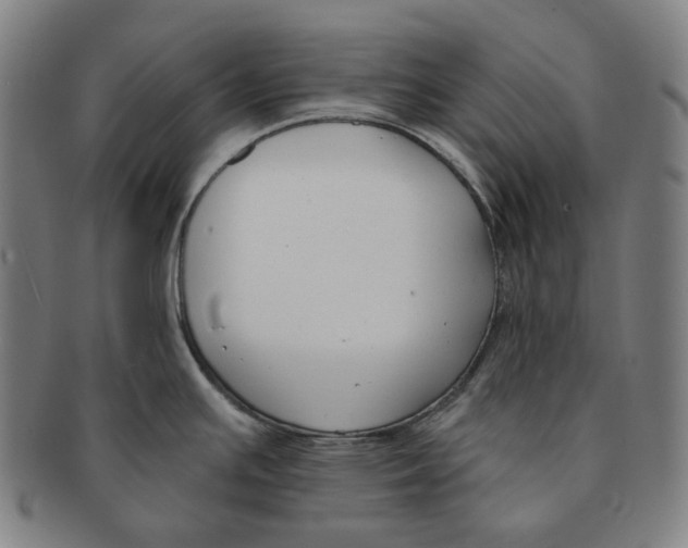 X0000090971391200708301216