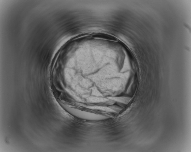 X0000090971392200708301216