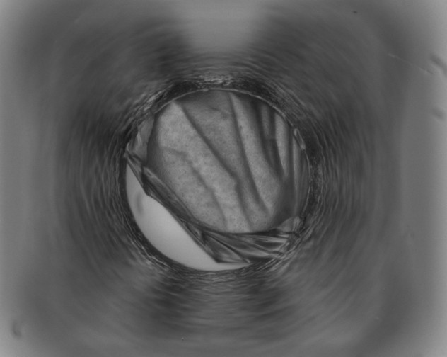 X0000090971394200708301215