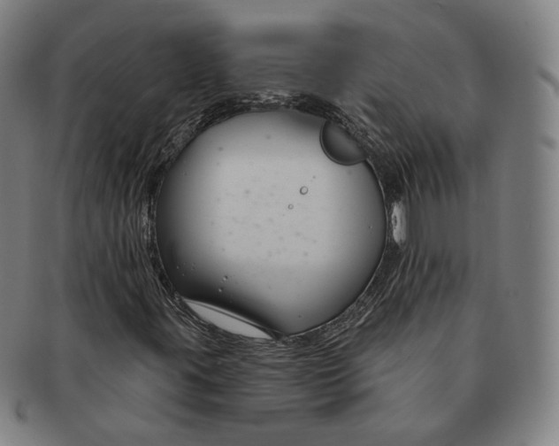 X0000090971395200708301215