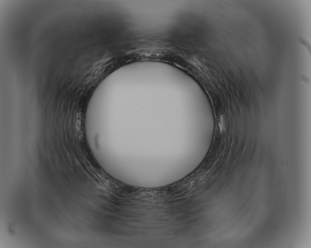 X0000090971396200708301215