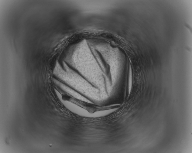 X0000090971397200708301215