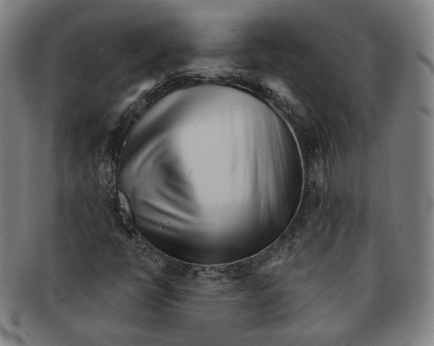 X0000090971398200708301215