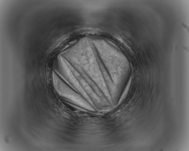 X0000090971399200708301215