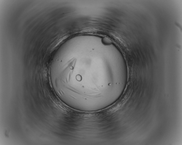 X0000090971401200708301215