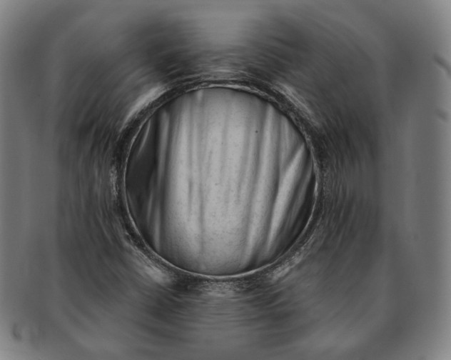 X0000090971402200708301215