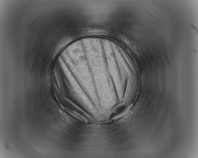 X0000090971405200708301216