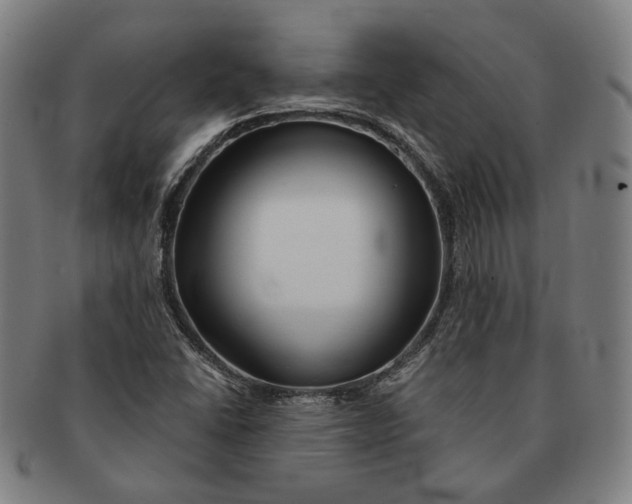 X0000090971406200708301216