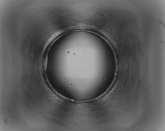 X0000090971410200708301216