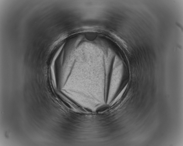 X0000090971411200708301216