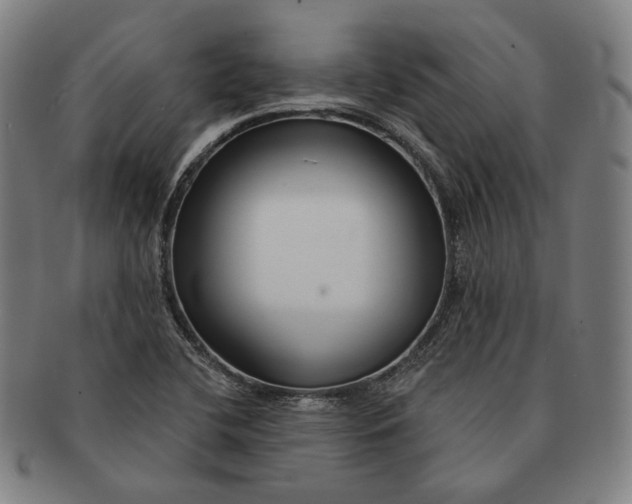 X0000090971412200708301216