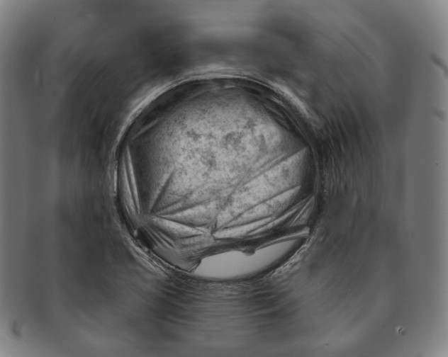 X0000090971413200708301216