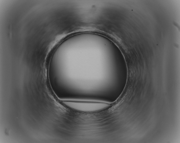 X0000090971414200708301216