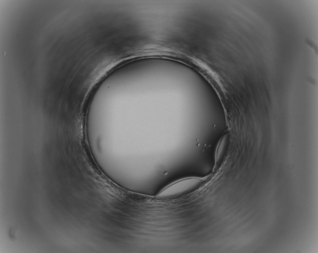 X0000090971415200708301216