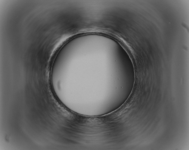 X0000090971416200708301216