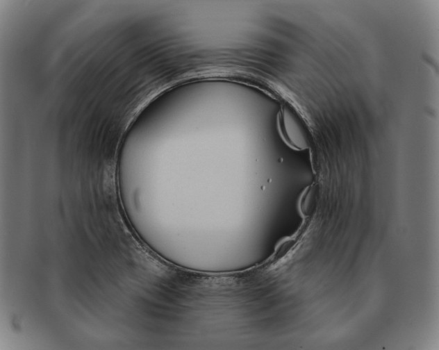 X0000090971417200708301216