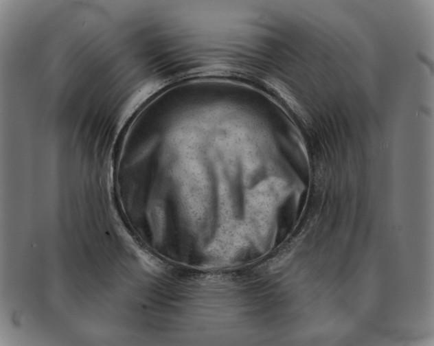 X0000090971418200708301216