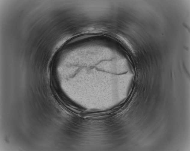 X0000090971419200708301216