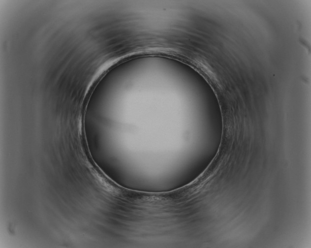 X0000090971420200708301216